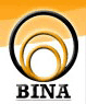 BINA logo